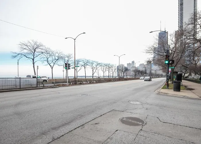 Gold Coast W Doorman Gym 2 Blocks To L Chi-916 Chicago